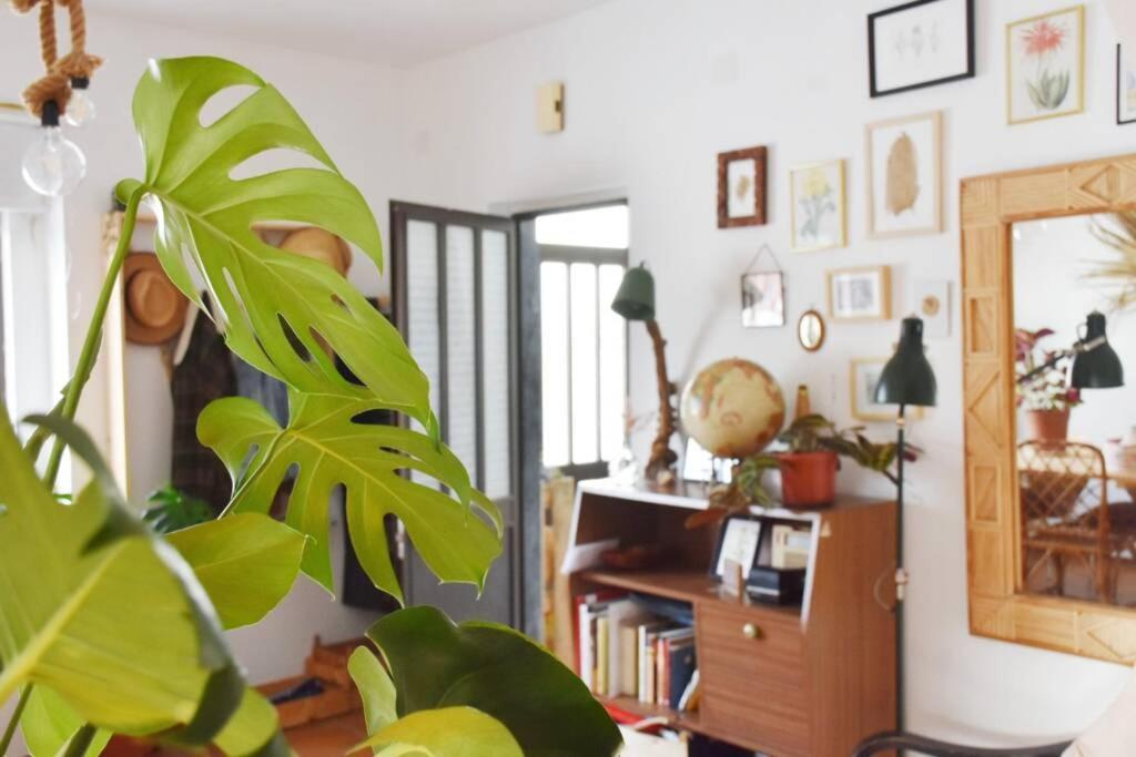 Bamboo House Aljezur Διαμέρισμα Εξωτερικό φωτογραφία